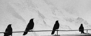 New Year holiday death dreams are not what they seem Jane Teresa Anderson