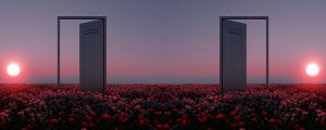 What to do with a dream interpretation Jane Teresa Anderson The Dream Academy